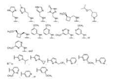 Figure imgf000146_0001