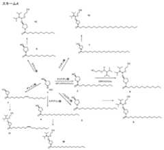 Figure 2023500681000055