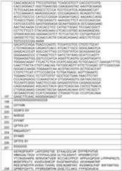 Figure imgf000071_0001