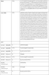 Figure BDA0002591526010000401