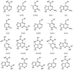 Figure imgf000090_0002