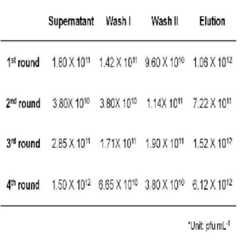 Figure 112016034832922-pat00001