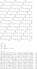 Figure IDA0000079231860000591