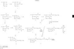 Figure US07687070-20100330-C00031