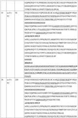 Figure BDA0004177795530000461