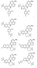 Figure 2025513455000444