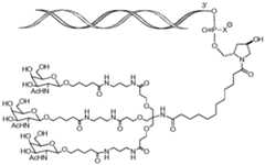 Figure imgf000145_0002