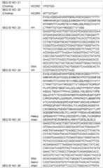 Figure imgf000026_0001