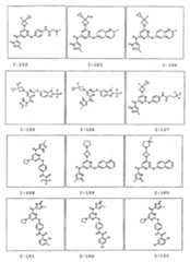 Figure 112008039273174-PCT00040