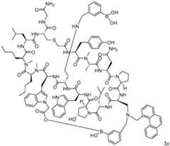 Figure imgf000017_0001