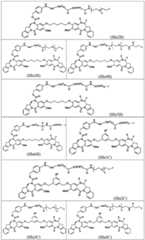 Figure BDA0003285627320000511