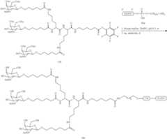 Figure US10793862-20201006-C00231