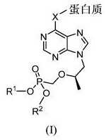 Figure 496256DEST_PATH_IMAGE006