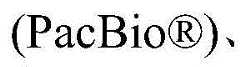 Figure BDA0003929713410000172