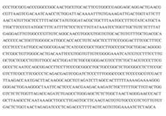 Figure imgf000059_0001