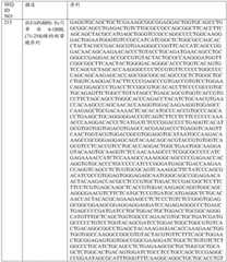 Figure BDA0001868160740001872