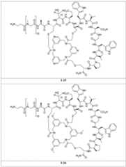 Figure 2024156841000339