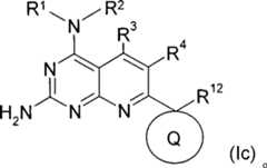 Figure S2006800298090C00061