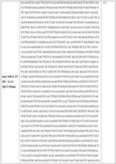 Figure imgf000080_0001