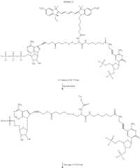 Figure US09271996-20160301-C00132