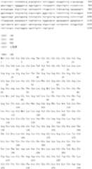 Figure IDA0000079231860001731