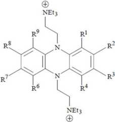 Figure BDA0003770183630000101