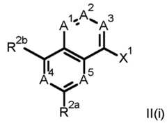 Figure imgf000078_0001