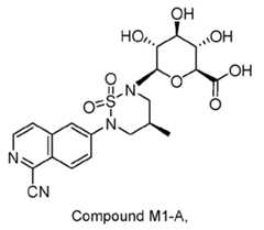 Figure imgf000013_0002