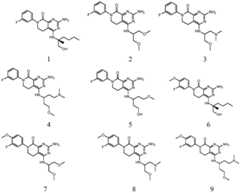 Figure FDA0003286243240000011