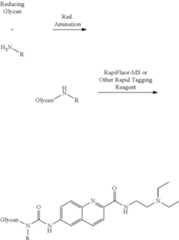 Figure US11747310-20230905-C00009