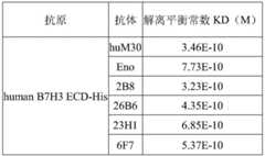 Figure BDA0002952241580000061