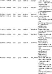 Figure BPA00001280678300771