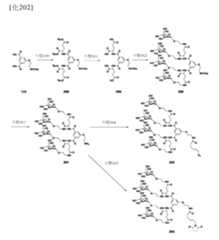 Figure 106103567-A0304-12-0272-263