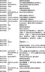 Figure BDA0000057170160001241