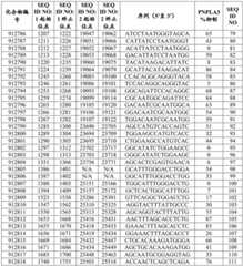 Figure BDA0002976854330001462