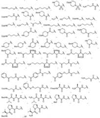 Figure imgf000092_0002