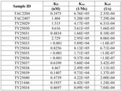 Figure PCTCN2022127875-appb-000026