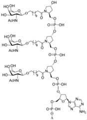 Figure imgf000189_0001