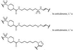 Figure imgf000082_0002