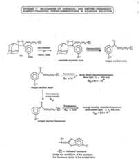 Figure imgf000052_0001