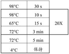 Figure GDA0003298213970001192