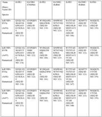 Figure imgf000494_0001