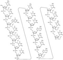 Figure BDA0002008947320000151