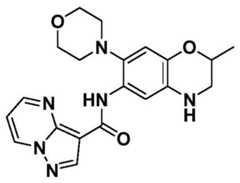 Figure BDA0001702803240002213