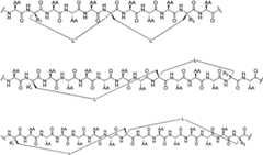 Figure BPA00001701189600251