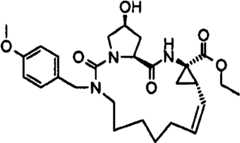 Figure BSA00000676350901181