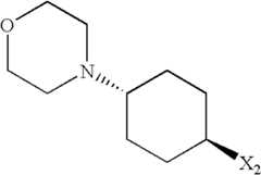 Figure US07521457-20090421-C01969