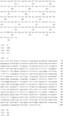 Figure IDA0000079231860000291