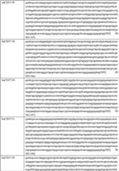 Figure BDA00002129651500771