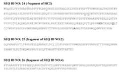 Figure imgf000035_0001